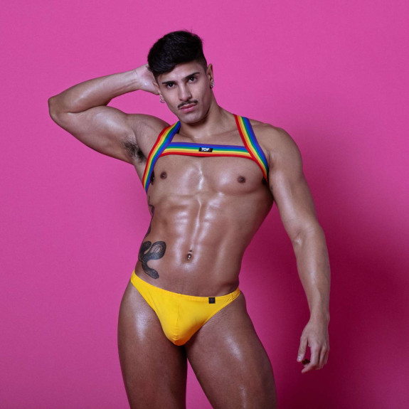Rainbow Chest Harness