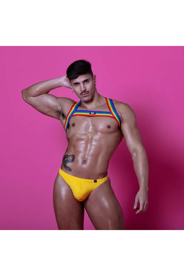Rainbow Chest Harness