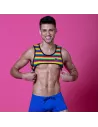 Rainbow Mens Harness