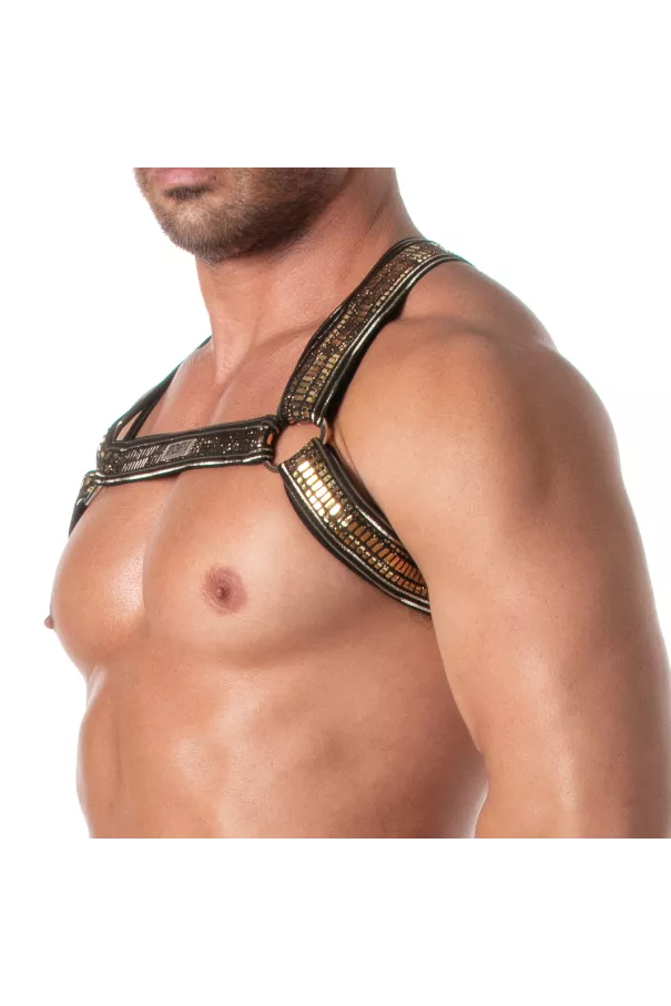 Glitter Bulldog Harness Gold