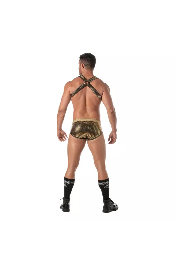 Glitter Bulldog Harness Gold