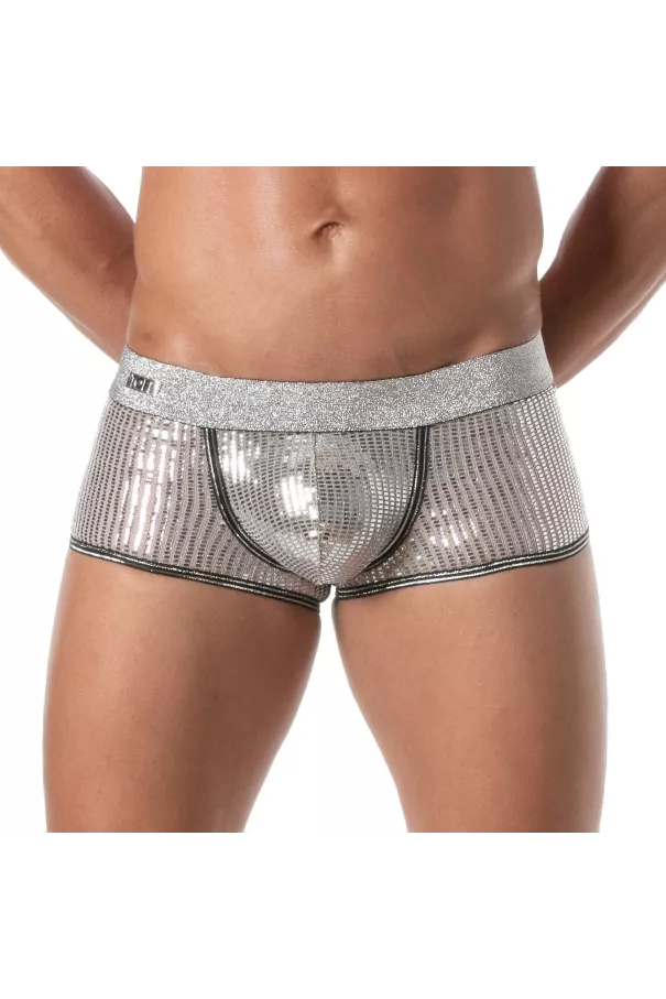 Glitter Trunk Silver