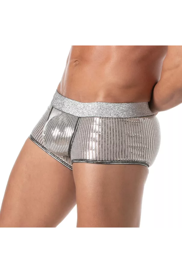 Glitter Trunk Silver