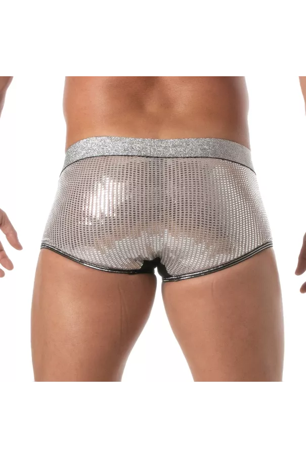 Glitter Trunk Silver