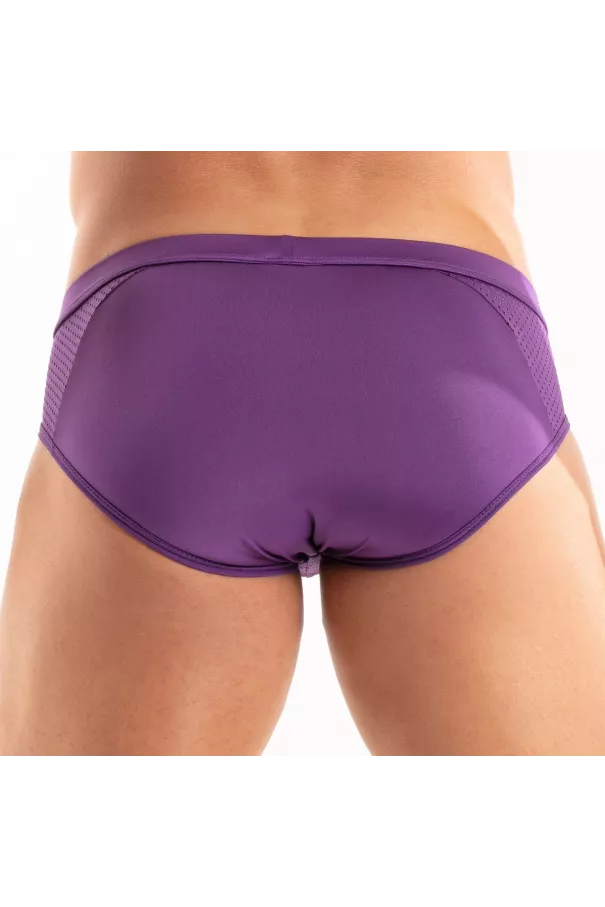 Temptation Microfiber Briefs Purple From Back