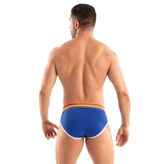 The Pride Briefs Royal Blue From Back