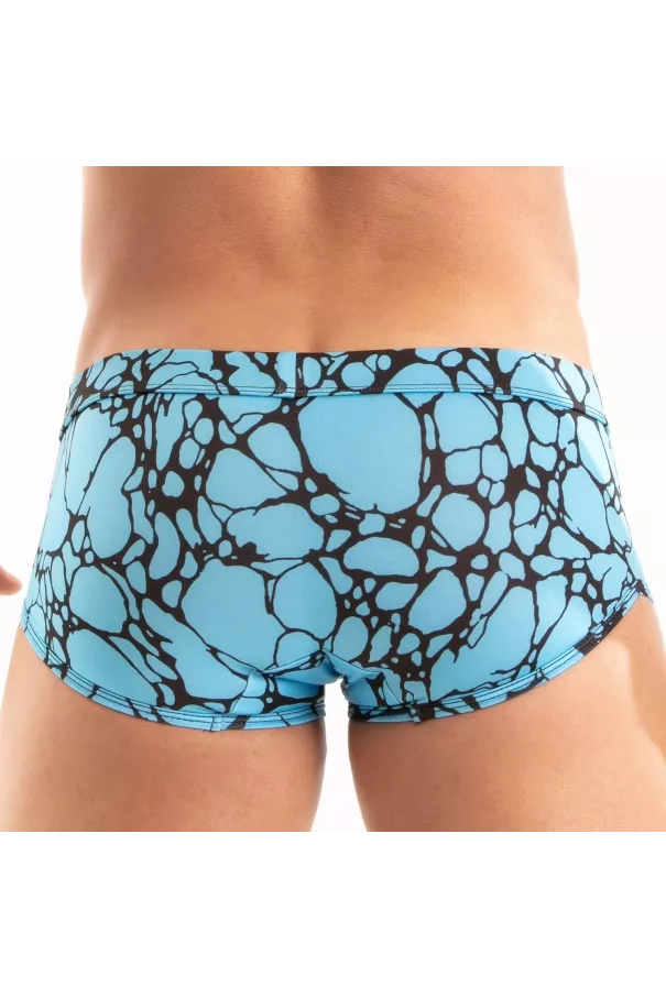 Printed Swim Trunk Blue from the back