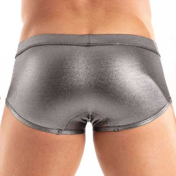 The Back Of A Metal Swim Trunk Silver