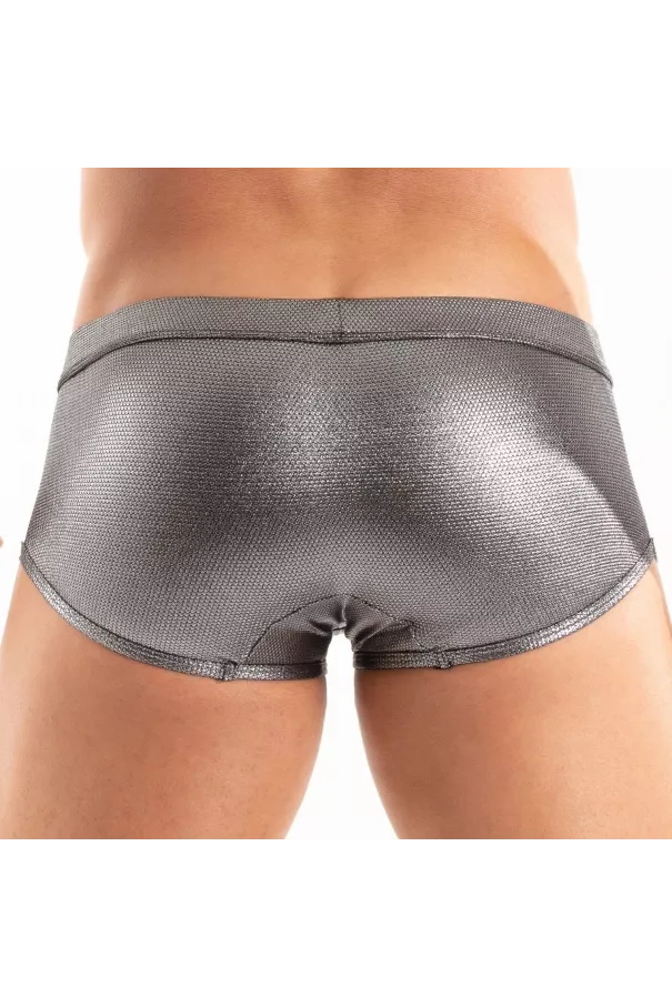 The Back Of A Metal Swim Trunk Silver