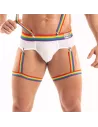 The Pride Leg Harness with a White Brief