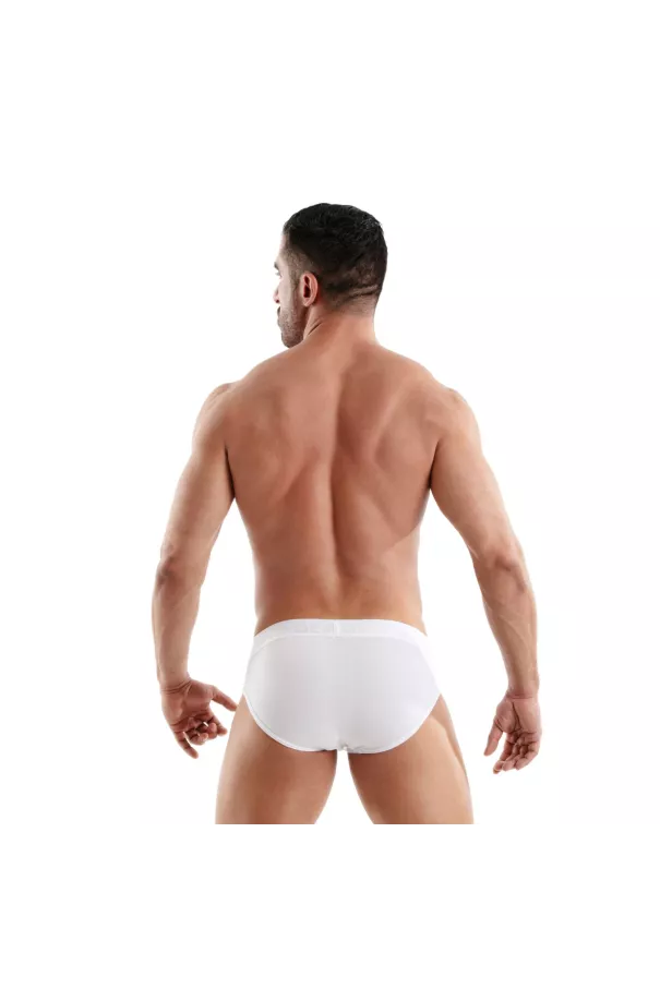 Access Briefs White