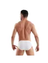 Access Briefs White