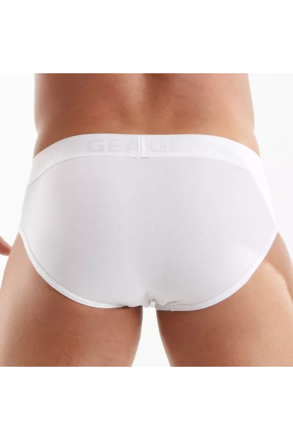 Access Briefs White