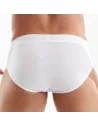 Access Briefs White