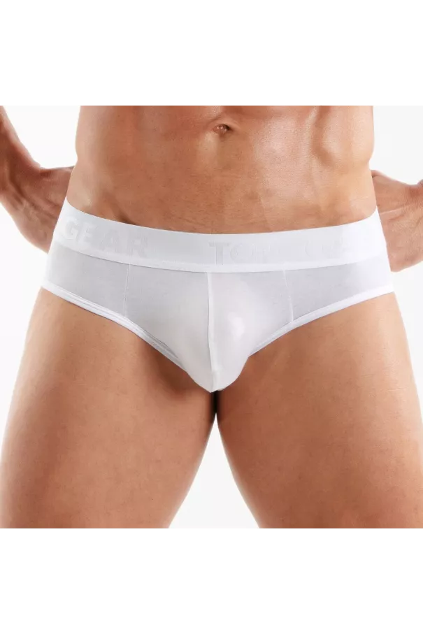 Access Briefs White