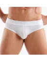 Access Briefs White