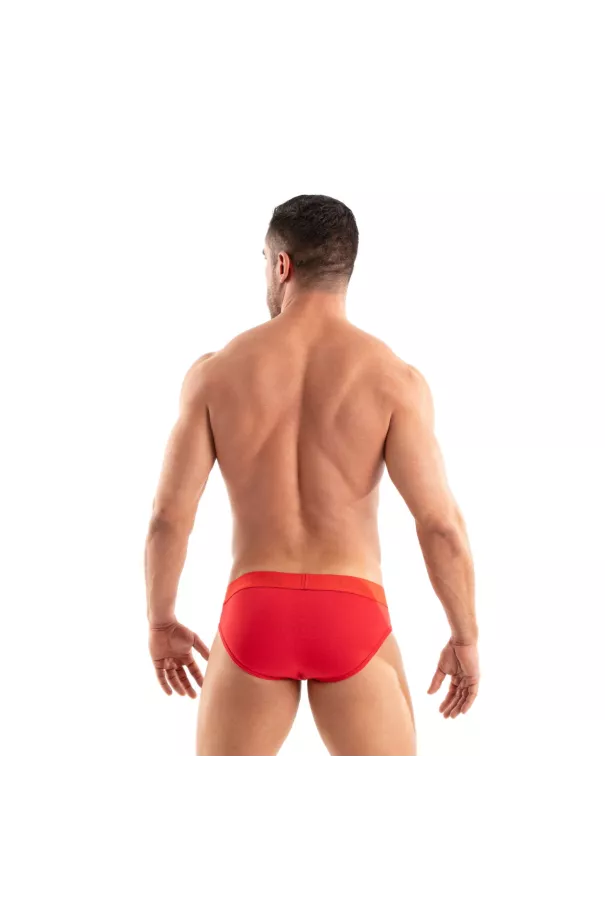 Access Briefs Red