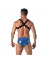 The Fiesta Zipped Pocket Harness Royal Blue From Back