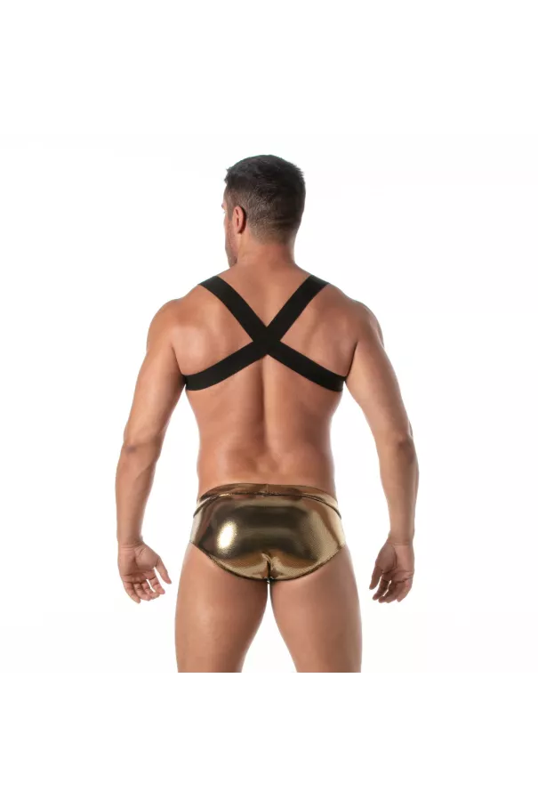 The Fiesta Zipped Pocket Harness Gold