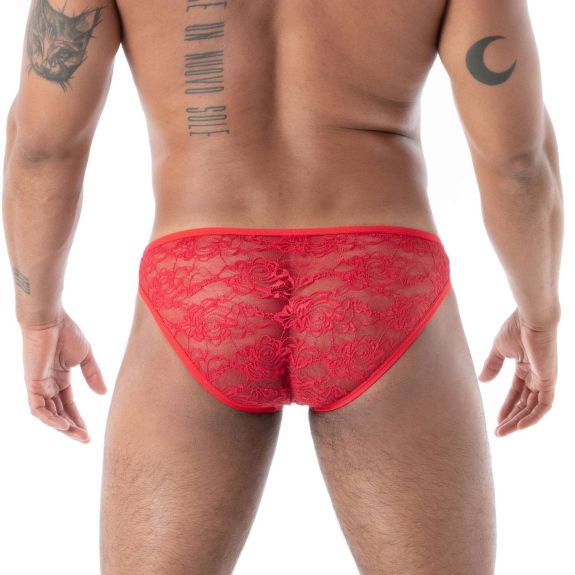 Discover The Fluid Lace Minibriefs Red