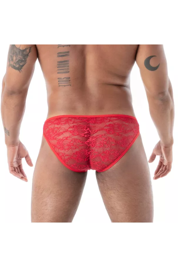 Discover The Fluid Lace Minibriefs Red
