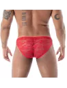 Discover The Fluid Lace Minibriefs Red