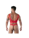 The new fluid lace ultra thong red