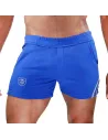 Paris Shorts Blue/Grey