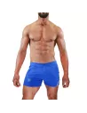 Paris Shorts Blue/Grey