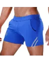 Paris Shorts Blue/Grey