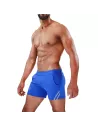 Paris Shorts Blue/Grey