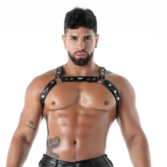 kinky bulldog harness