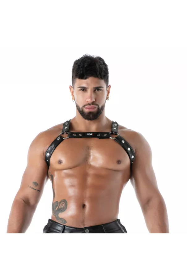 kinky bulldog harness