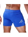 Paris Shorts Blue/Grey