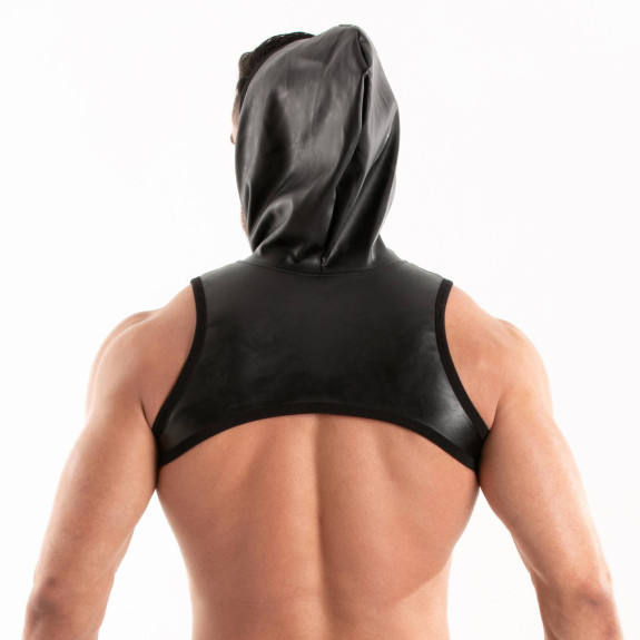 harness from the back