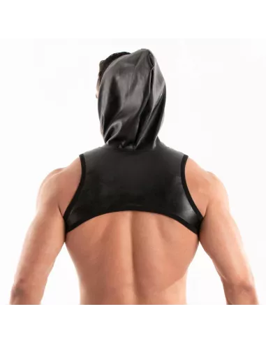 harness from the back