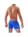 Paris Shorts Blue/Grey
