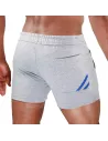 Paris Shorts Grey/Blue