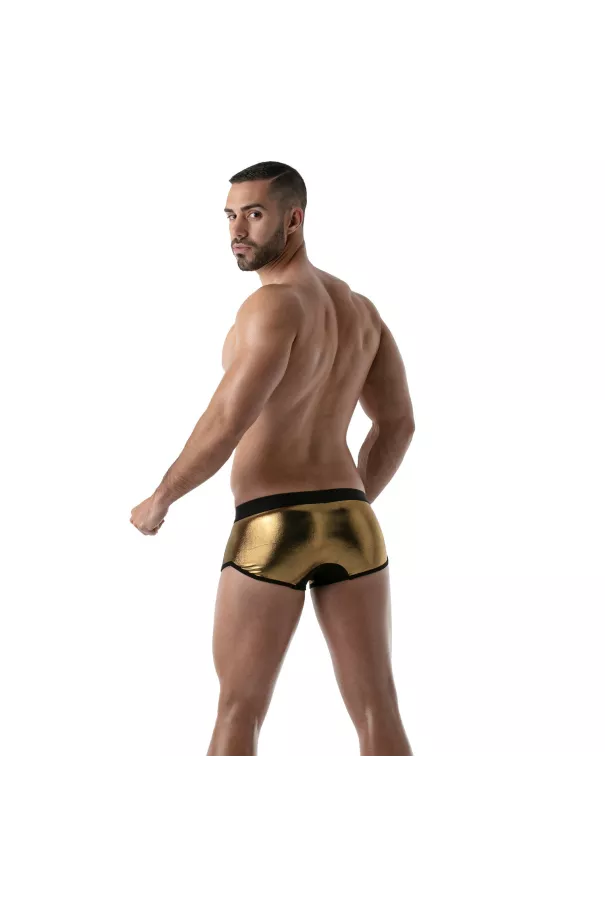 Metal trunks Golden
