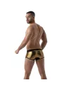 Metal trunks Golden