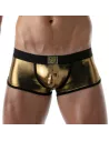 Metal trunks Golden