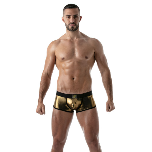 Metal trunks Golden