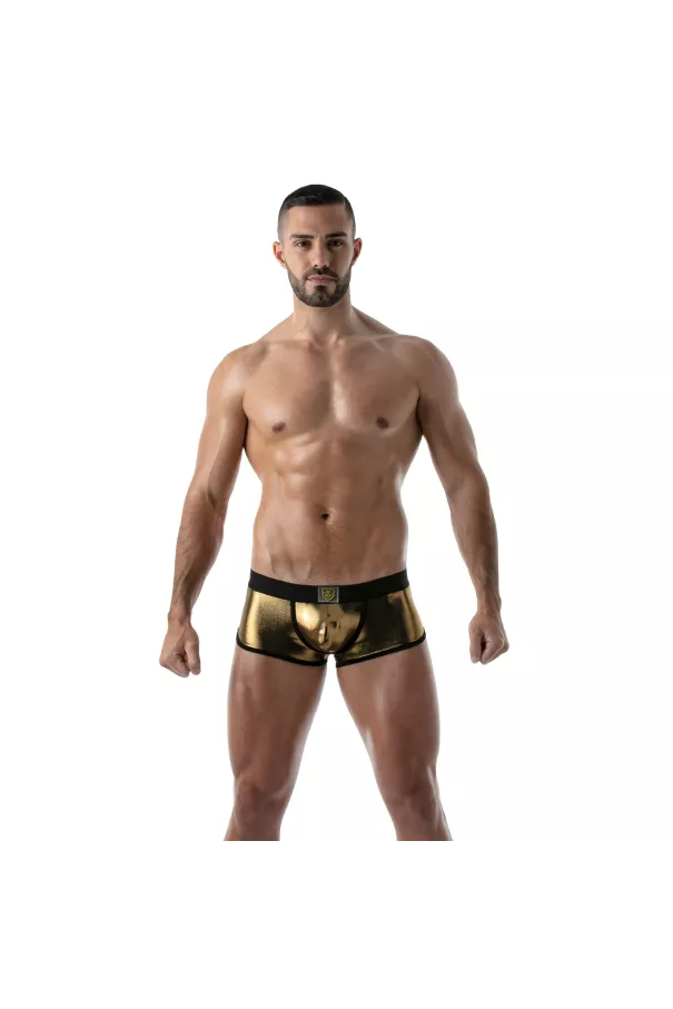 Metal trunks Golden