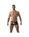 Metal trunks Golden