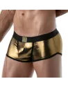 Metal trunks Golden