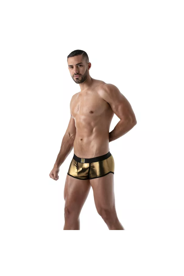 Metal trunks Golden