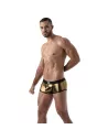 Metal trunks Golden