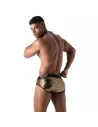 Star Brief Gold