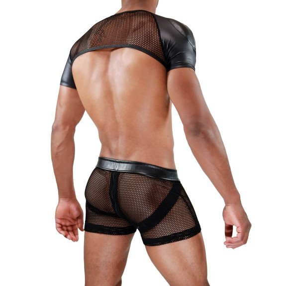 Full harness Spartacus - TOF-PARIS.com