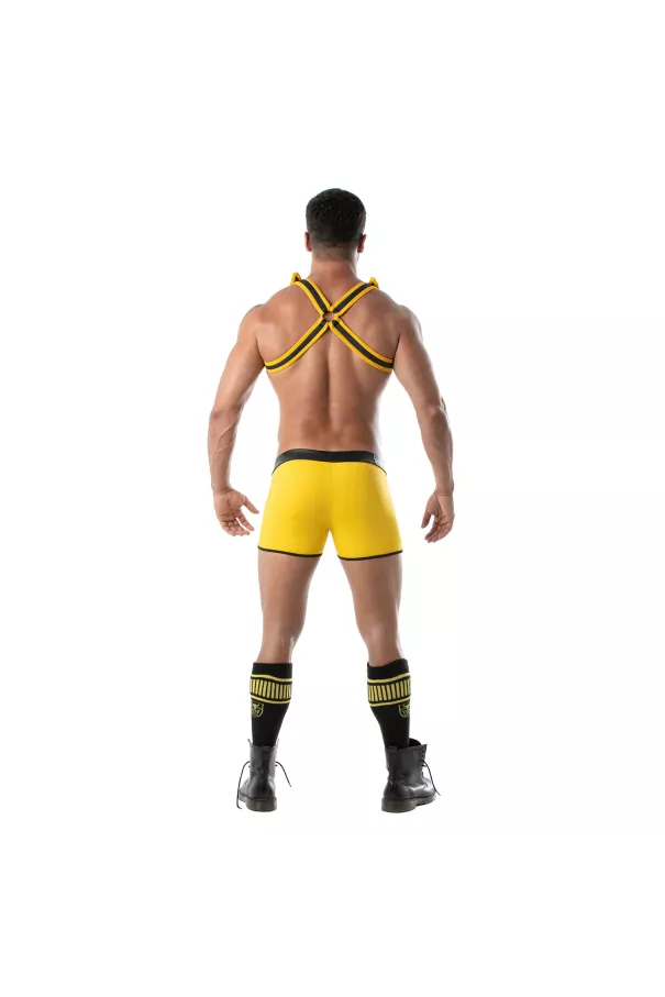 Bad boys Shorts Yellow